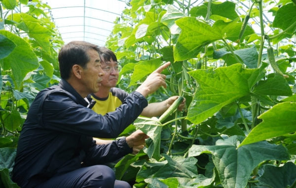 공주시, 원예작물분야 새기술 보급시범사업 추진