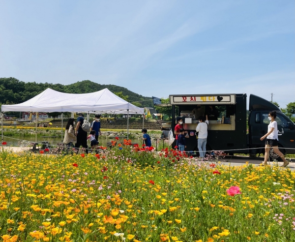 장성 황룡강 꽃길 보고 푸드트럭도 이용 하세요