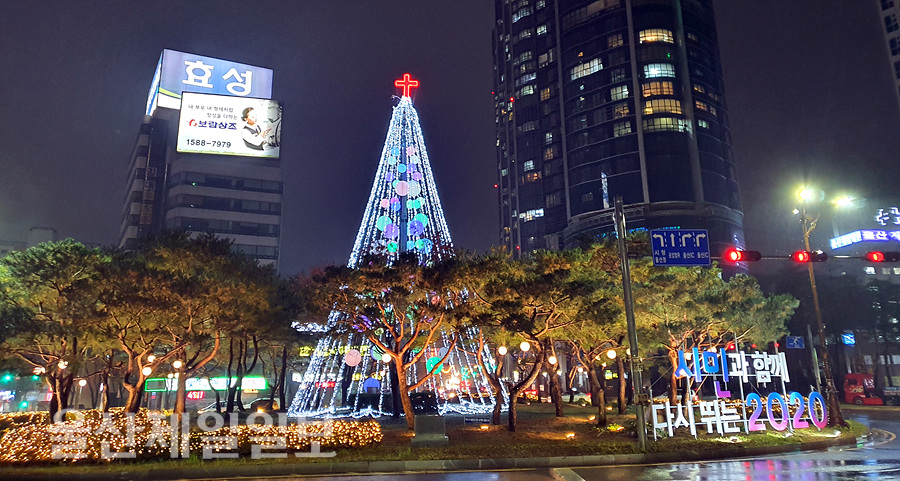 태화로터리 연말 트리에 십자가 장식 논란