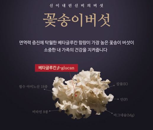 (주)농업회사법인 아미코팜 꽃송이버섯의 대량생산화 기술개발을 성공