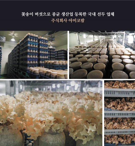 아미코팜 주식회사 농업회사법인 꽃송이버섯, 다양한 선물 라인 선보여