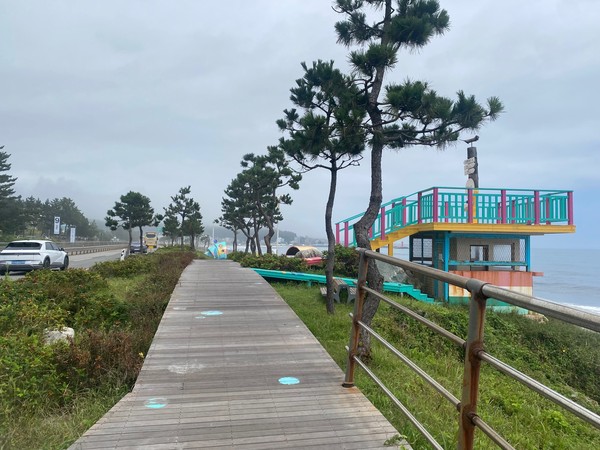 양양 설악해변, 올해도 이어진 걷기 행사