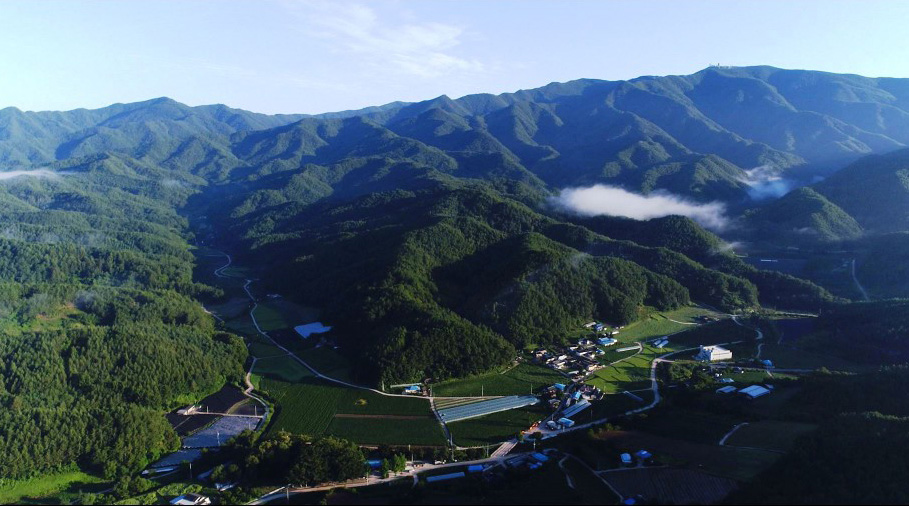 [방송제작 후기] 고추 붉게 익는 마을 경북 영양 일월산 도곡리-1