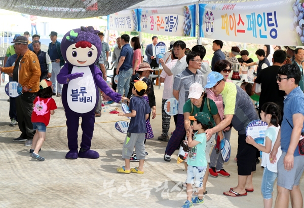 주산면, 알콩달콩 블루베리 축제 성황리에 열려