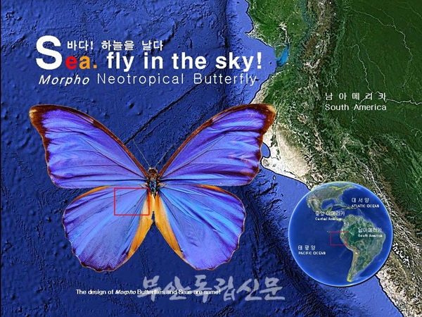 부안누에타운, 제11회 전문기획전 바다! 하늘을 날다 개최