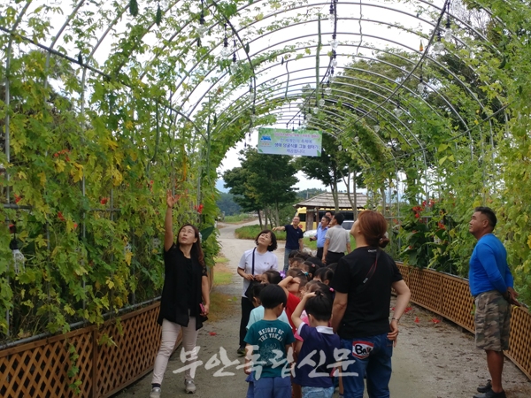 부안군 농업기술센터, 생태덩굴 그늘터널 시범사업 평가회