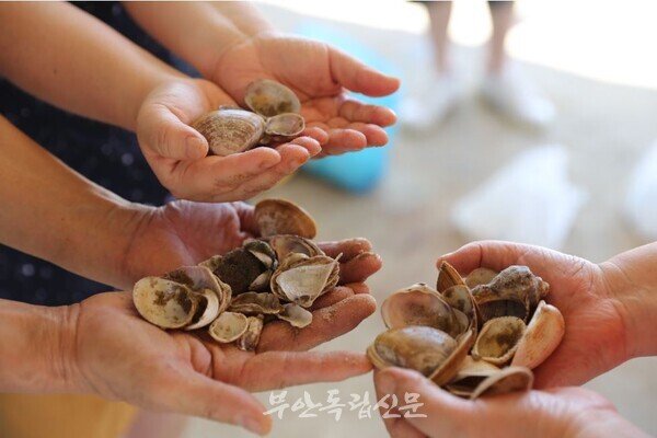 투리 마을관리 사회적협동조합, 둥근마음보금자리와 함께 예술동행