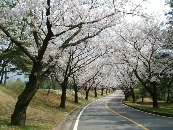 서울경제 골프매거진 선정 2019 한국 美 골프장-광주 컨트리클럽