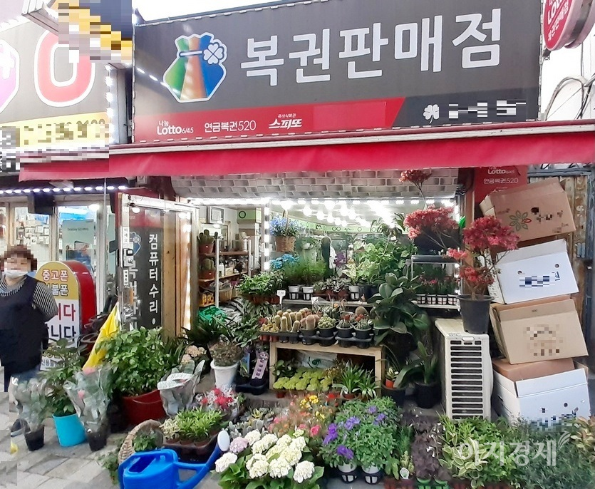 [이지경제의 한 컷] 꽃 로또를 아시나요(?)