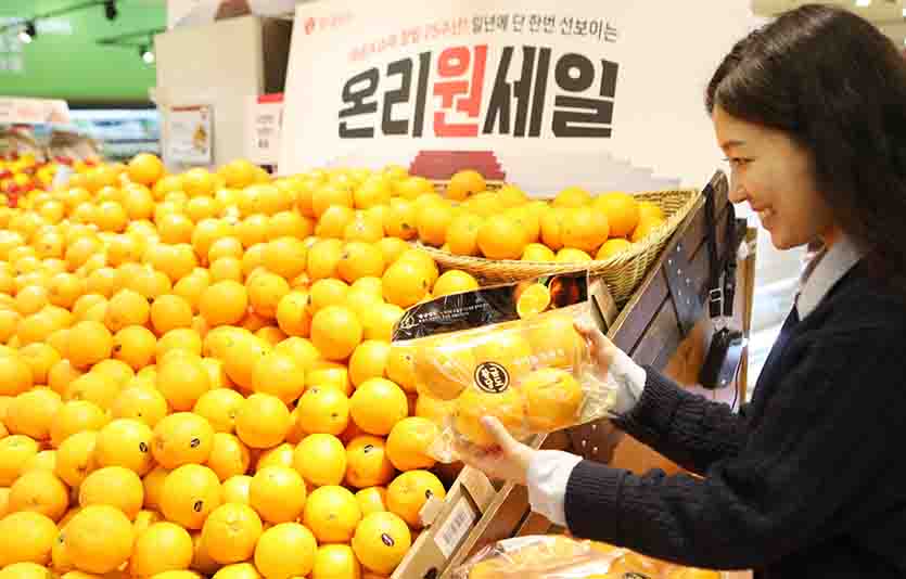 스몰 럭셔리 트렌드 속 프리미엄 과일 러시