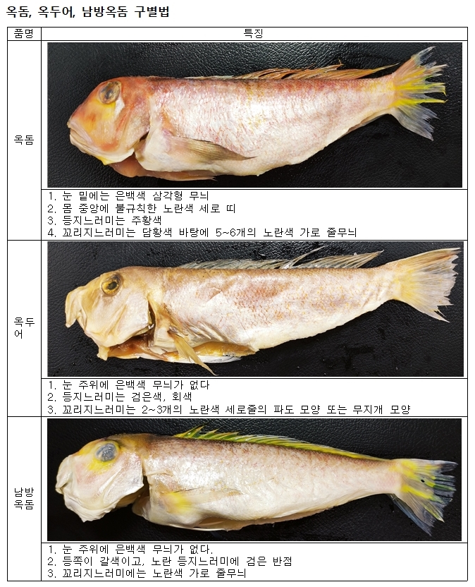 옥돔, 눈 밑에 은백색 삼각형 반점 확인하세요