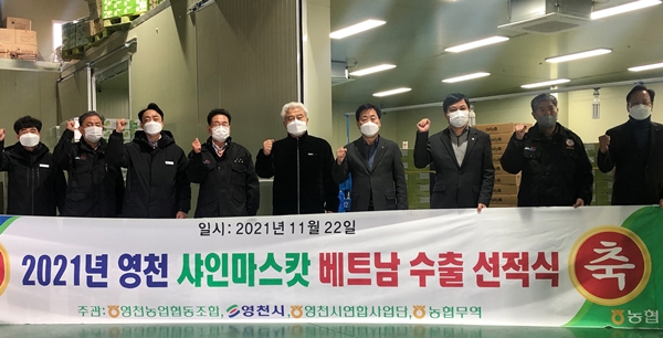 영천농협 샤인머스캣 베트남 수출길 올라