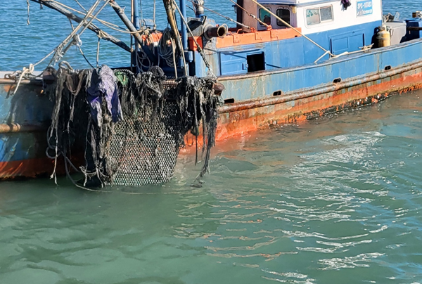 제4차 어장관리 기본계획 수립…생산성 저하 어장 집중 관리