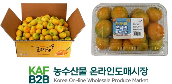 농수산물 온라인도매시장 7번째 특화상품은 감귤