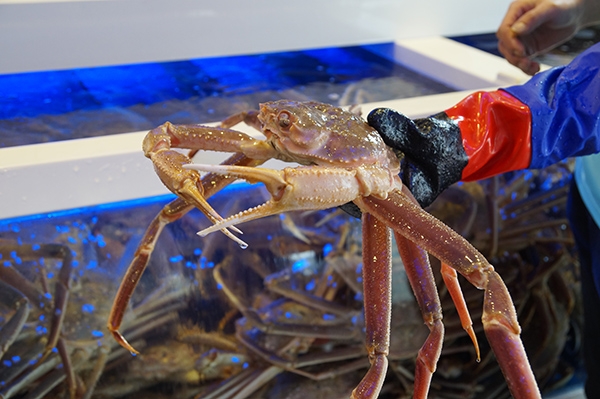 졸업ㆍ입학 시즌 가족 외식엔 특별함이 필요해…평택 맛집 대게나라