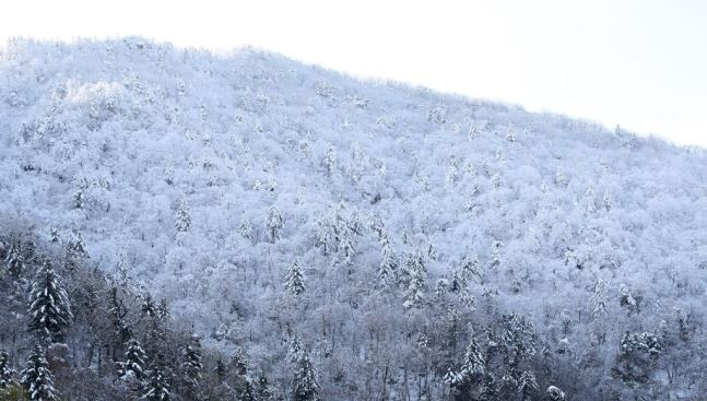 [기상청 날씨] 오전 곳곳서 비 오후부터 맑아져..강원도는 폭설