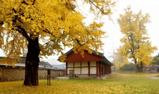 시, 수도권서 관광전주 알린다