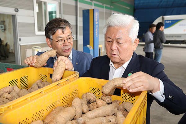 하늘이 내린 보약 무주천마 지역전략 식품산업으로 키운다