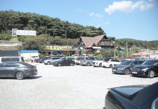태안 안면도 맛집 딴뚝통나무집식당, 중소벤처기업부 올해의 백년가게로 선정