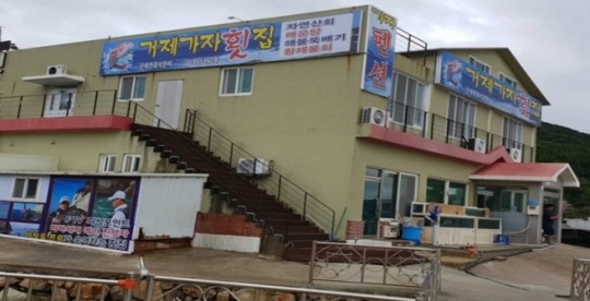 거제 맛집, 환절기 영양식 특별한 별미를 만나다 가자횟집