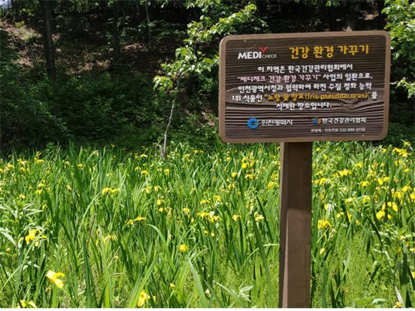 건협, ‘메디체크 건강환경가꾸기’ 일환 전국 노랑꽃창포 9000本 식재
