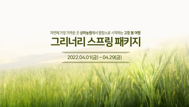 청보리로 물든 상하농원 봄따라 청보리여행