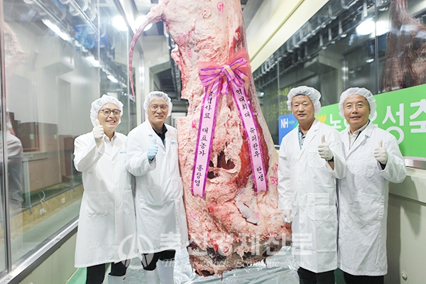 역대 최대 슈퍼한우 등장