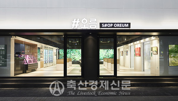 선진 복합문화 공간 #오름 오픈
