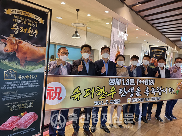역대 최대 슈퍼한우 판매 시작