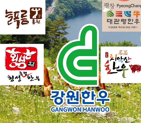 강원한우 대통령상 수상