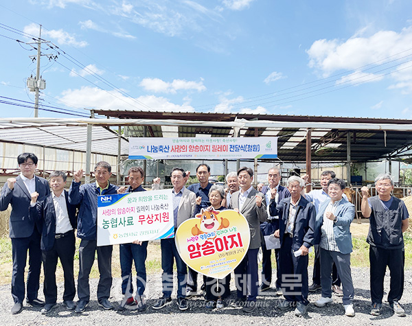 철원 농가에 암송아지 전달