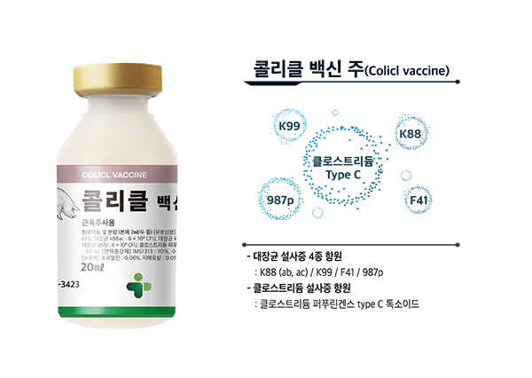 녹십자수의약품 「콜리클 백신」인기