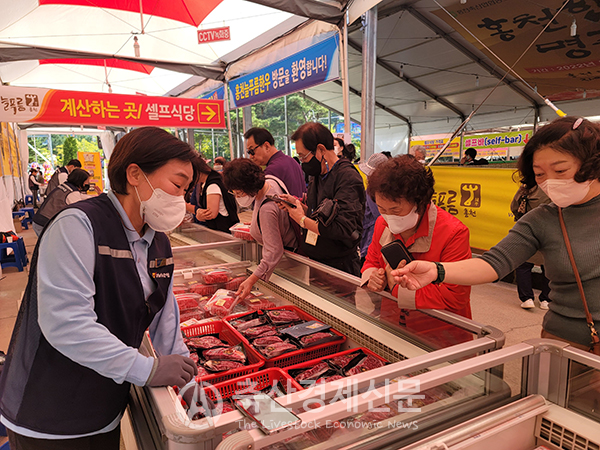 한우축제로 즐거운 강원도