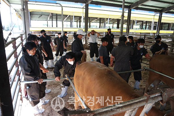 목포무안신안축협 청년축산인 실습 교육