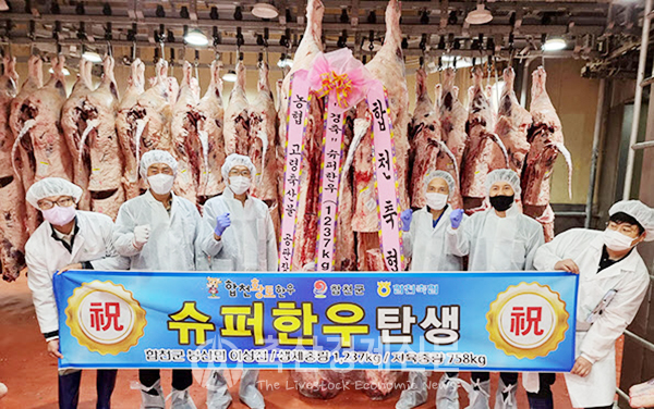 [화제] 특별한 슈퍼한우 합천황토 한우