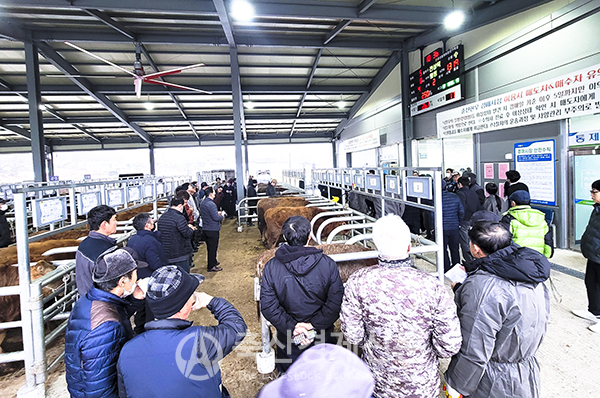 [화제의 조합] 춘천철원화천양구축협