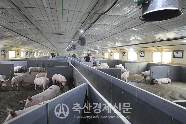 [탐방] 리모델링 마친 선진 직영 모돈장 「오름율면」