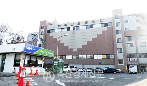 농협 고령축산물공판장 올 첫 수출 한우 경매
