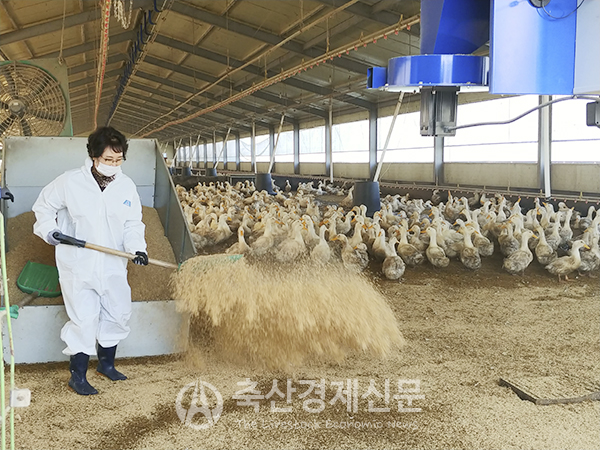 오리농가, 신규농장의 허가 조건에 현대화된 가건물 포함을