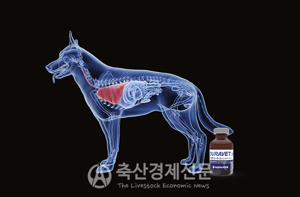 녹십자수의약품 반려동물용 항생제 국제특허 출원