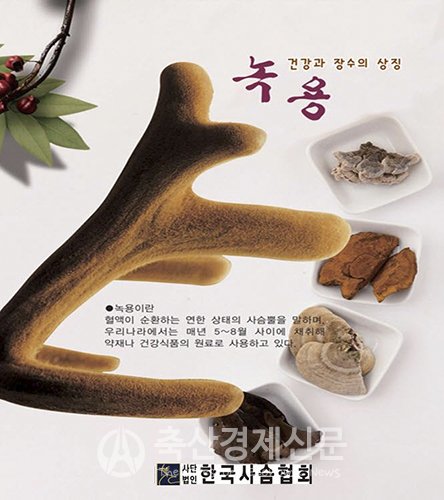 건강과 장수의 상징, 녹용!