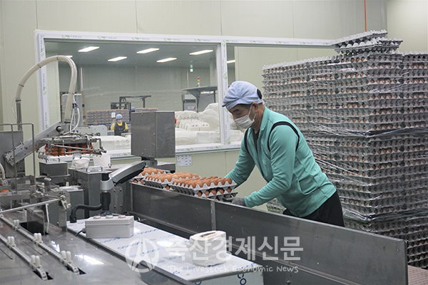 [축산 바로 알리기] 계란