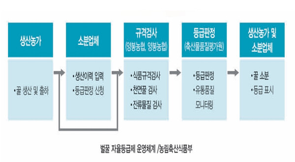 [2025 년 축산 기상도 … 양봉] 연이은 흉작·수급 불안까지…벼랑 끝 형국