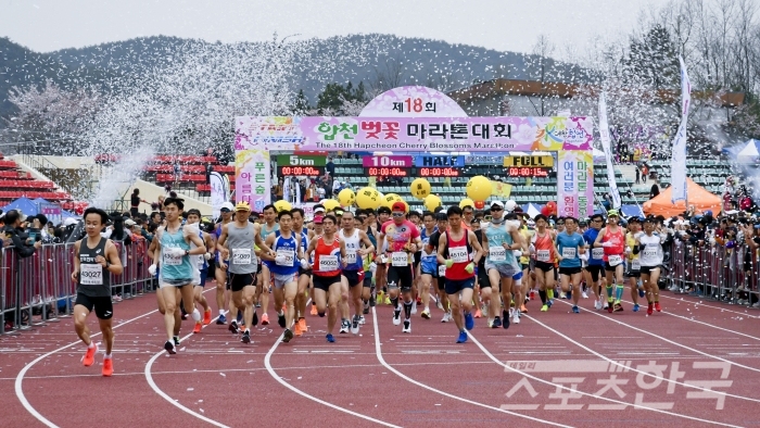 합천벚꽃마라톤대회
