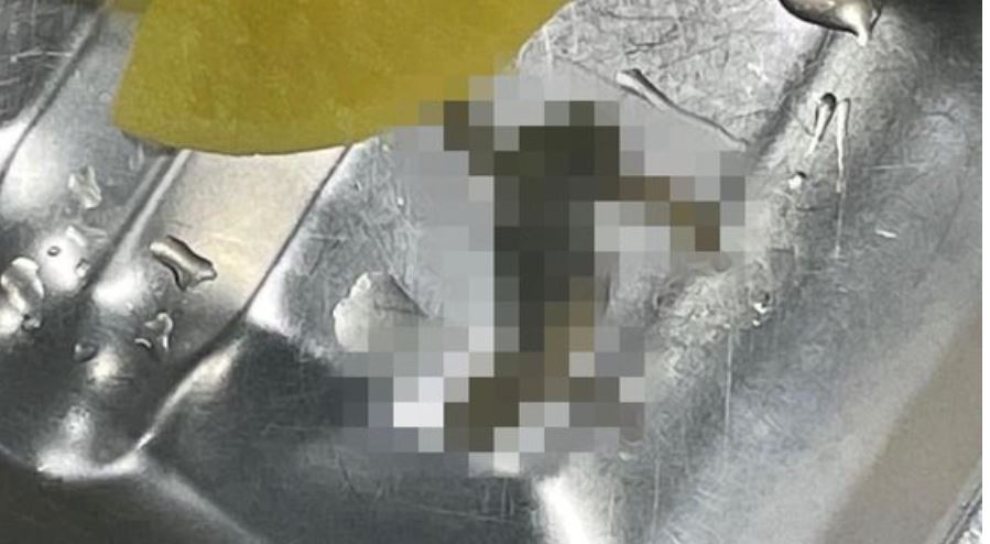 여고급식서 또 개구리 사체 .. 서울시교육청, 급식에 열무김치 제공 중단