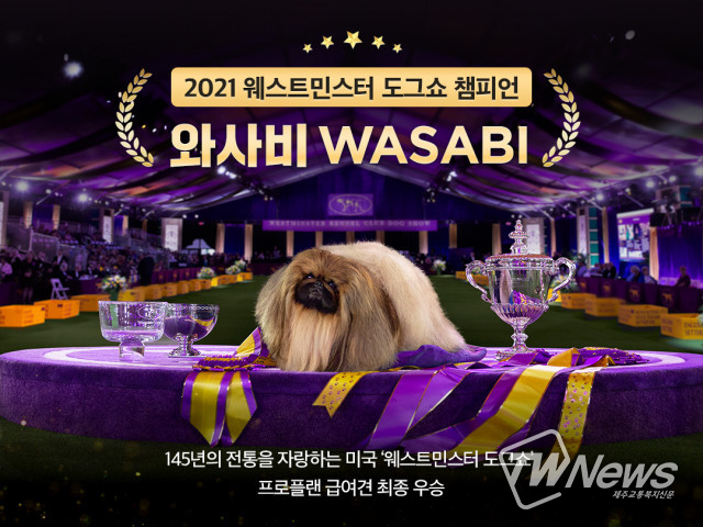 네슬레 퓨리나 프로플랜, ‘웨스트민스터 켄넬 클럽 도그쇼’ 전 부문 석권