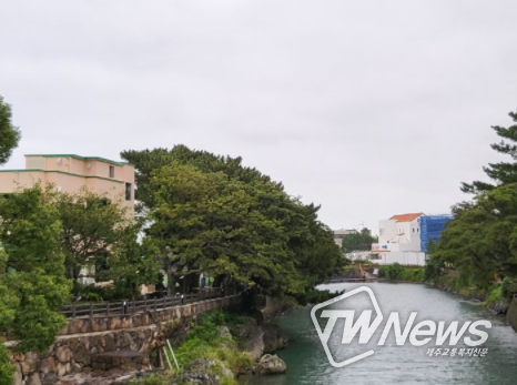 제주시, 월대천 지방하천 정비사업 호안(보축) 보강 완료