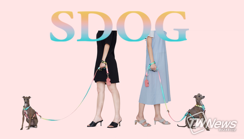 스페이스독(SPACEDOG), 특별한 이벤트 진행