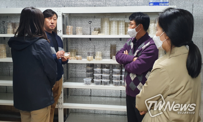 고품질 유성씨천마 증식기술, 재배농가 보급 확대