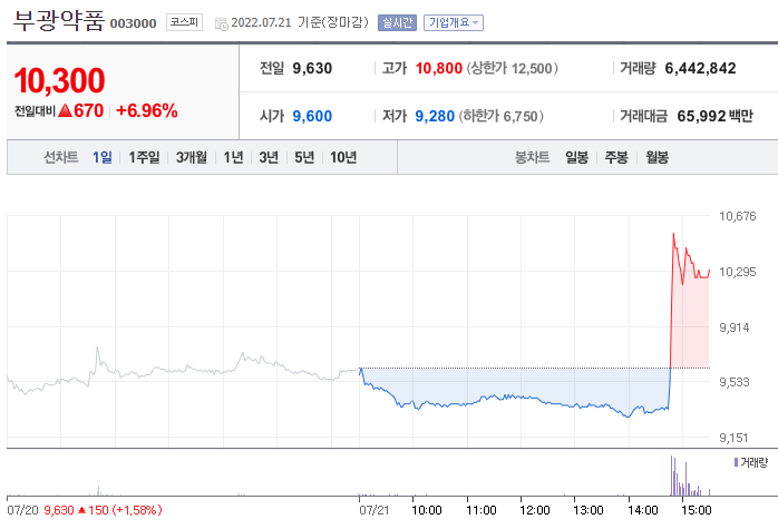 [특징주] 부광약품 주가 6% 상승…이유는?